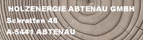 Holzenergie Abtenau